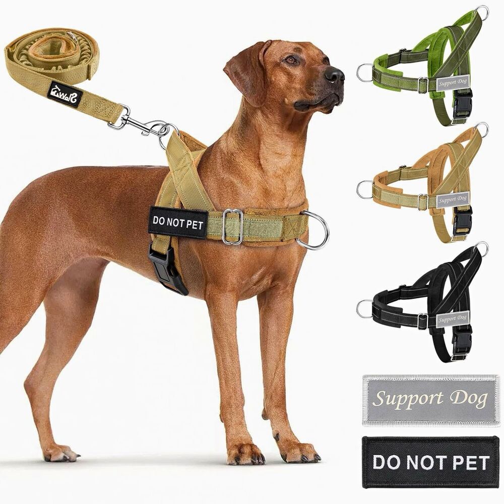 Support Dog No Pull Front Clip Nylon Harness L “Do Not Pet” Patch
